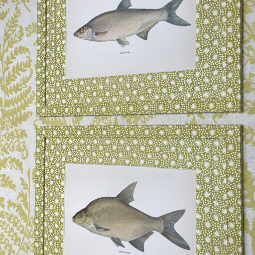 Fish pair in Starburst Citrus 1.jpg