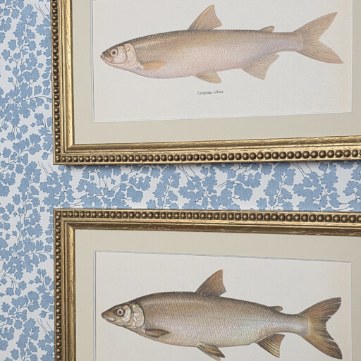 Fish in Beaded Gold 2.jpg