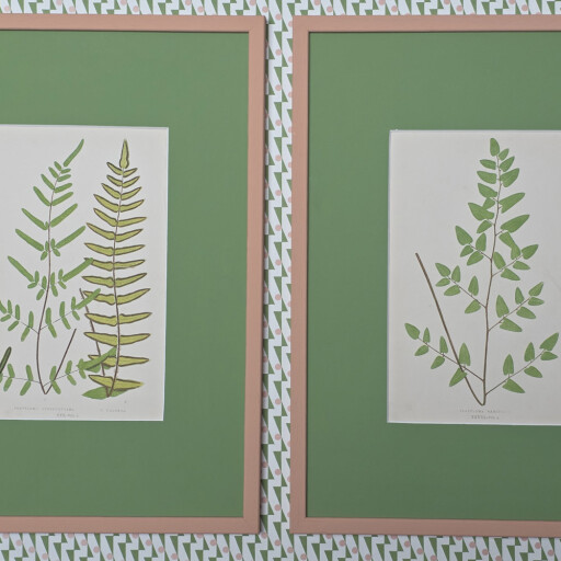 Invisible green botanicals 1.jpg