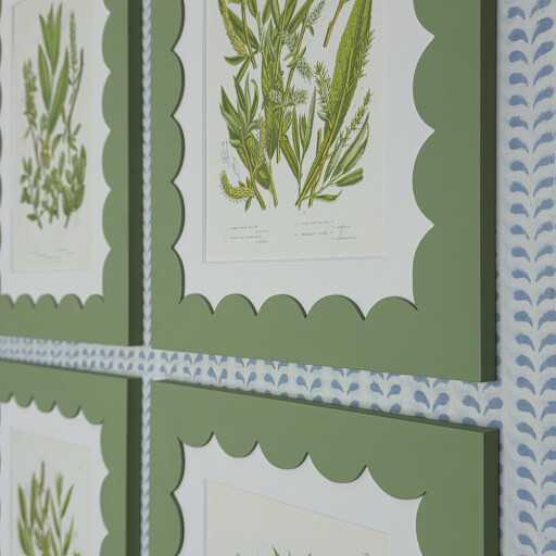 New scallop 4 botanicals 2.jpg