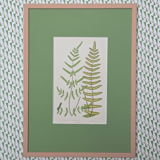 Invisible green botanicals 2.jpg