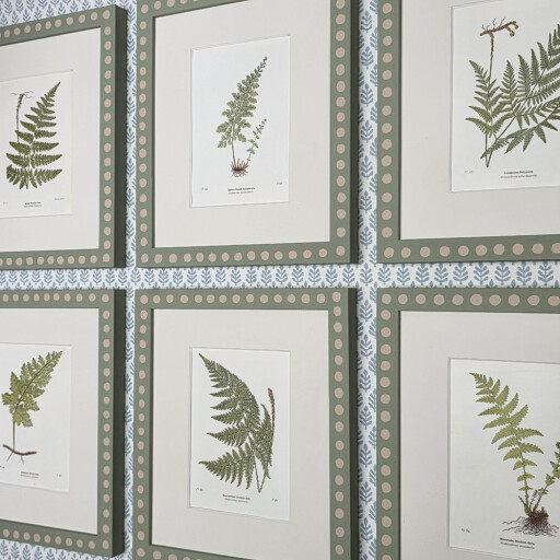 6 Ferns with Spot Frames 2.jpg