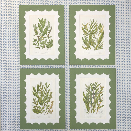 New scallop 4 botanicals 1.jpg