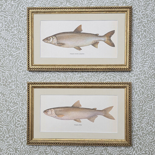 Fish in Beaded Gold 1.jpg