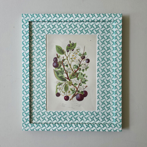Plums in wrapped frame 2.jpg