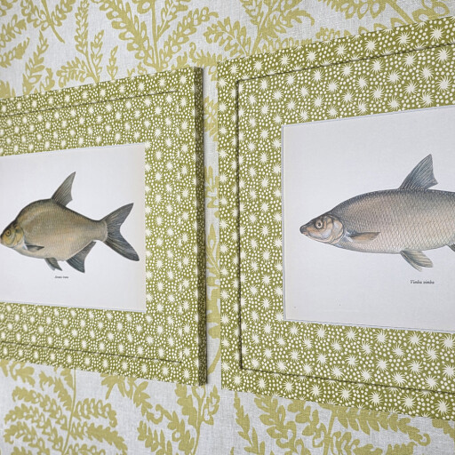 Fish pair in Starburst Citrus 2.jpg