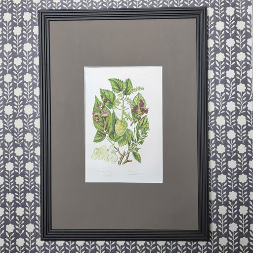 HC Botanicals in Brown Reeded frame 2.jpg