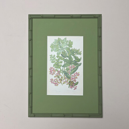 Green Bamboo 2.jpg