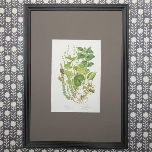 HC Botanicals in Brown Reeded frame 3.jpg